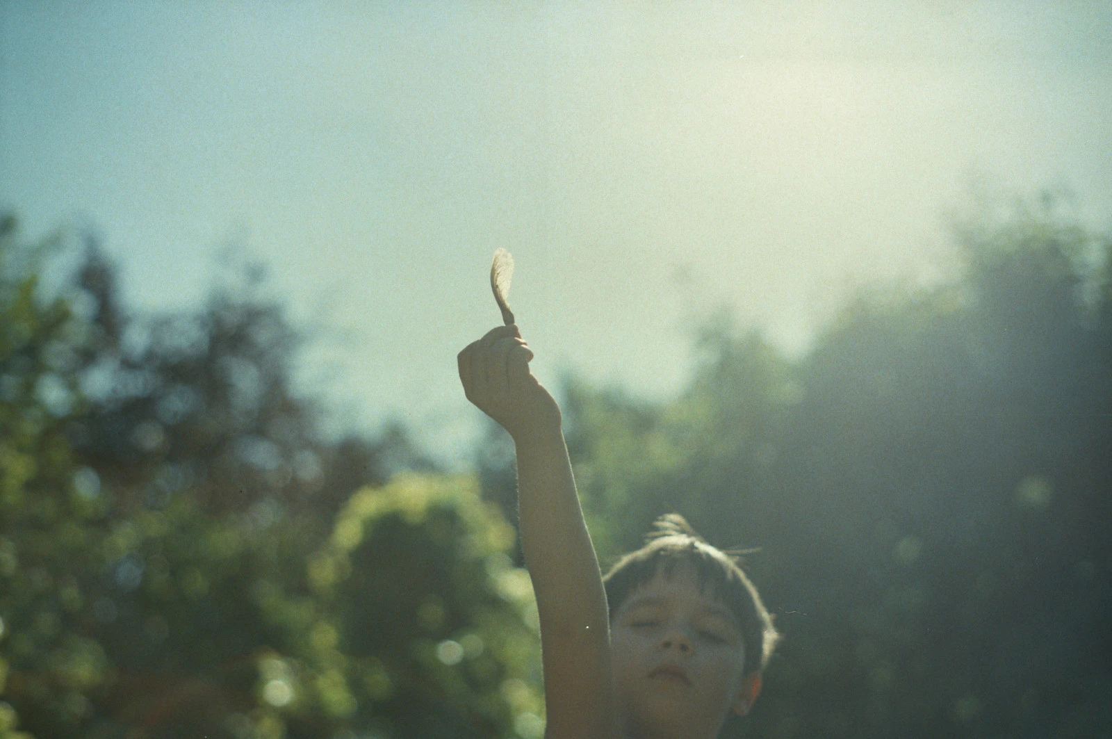 A child reaches toward sunlight with a feather in their hand.